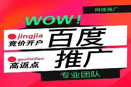 百度推广运营实战经验：案例解析与优化